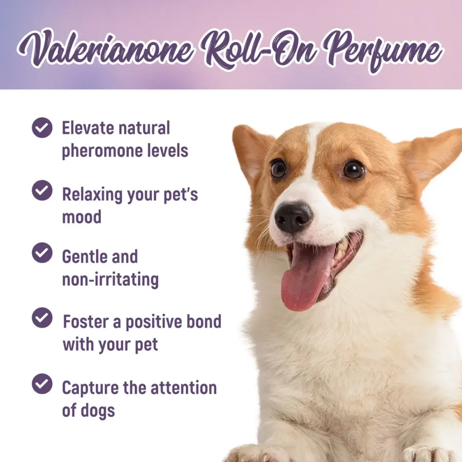 10ML Pet Valerianone Roll-on Perfume Relax Dog Anxiety Enhace Attraction Arouse Puppy's Interest Fragrance - Image 2