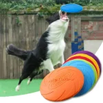 Dog Flying Disk Toy - Green