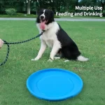 Dog Flying Disk Toy - Green