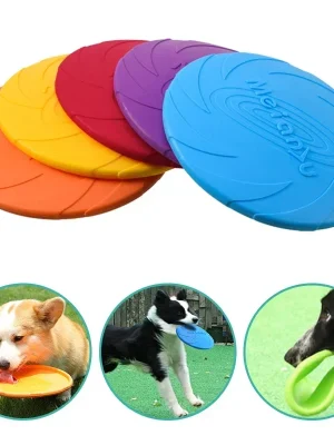 Dog Flying Disk Toy - Green