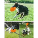 Dog Flying Disk Toy - Green