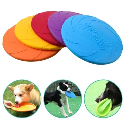 Dog Flying Disk Toy - Green
