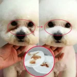 150/200Pcs Wet Wipes Eye Tear Ear Stain Remover