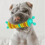 Dog Toothbrush Caterpillar Toy