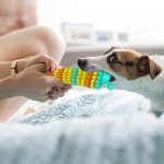 Dog Toothbrush Caterpillar Toy