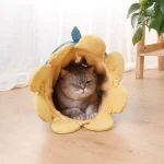 2 in 1 Collapsible Cat Tunnel with Mat Bed