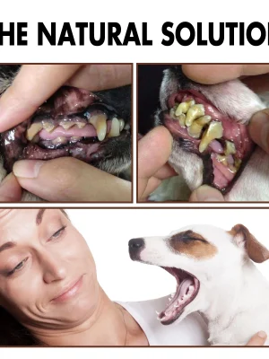 30ML-Pet-Teeth-Cleaning-Spray-Dog-Cat-Tartar-Cleaner-Puppy-Kitten-Tooth-Stain-Remover-Bad-Breath-1.webp