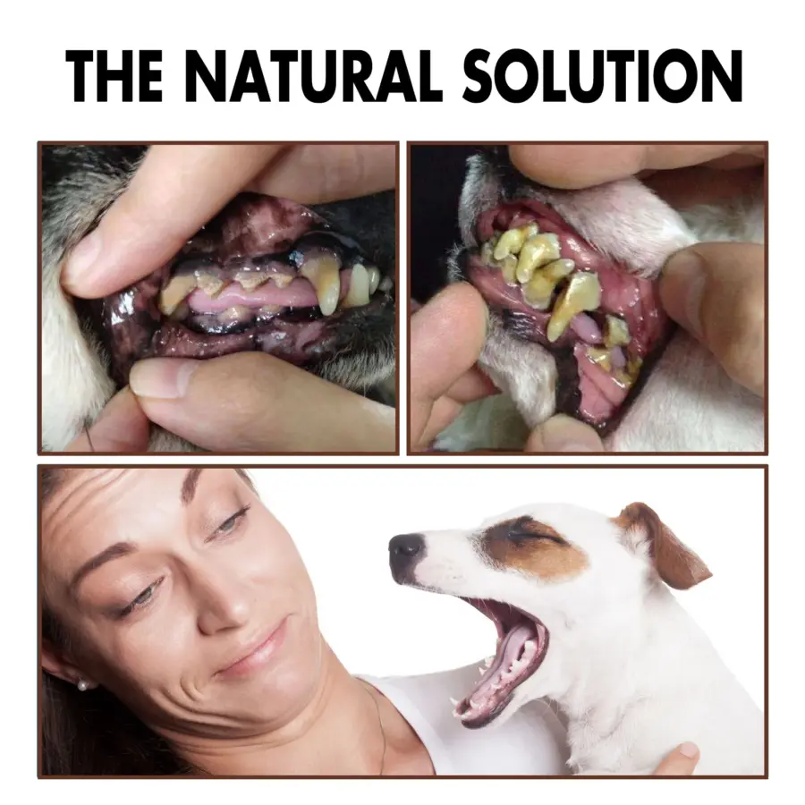 30ML Pet Teeth Cleaning Spray Dog Cat Tartar Cleaner Puppy Kitten Tooth Stain Remover Bad Breath Oral Cleaning - Image 2