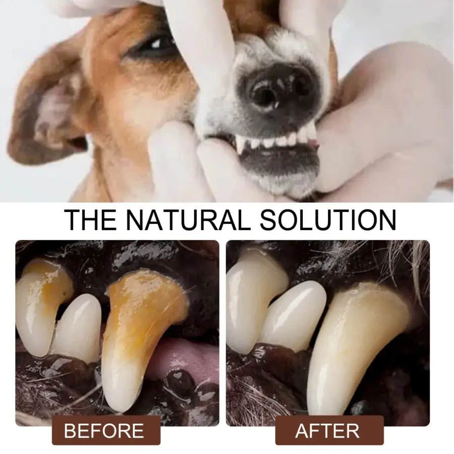 30ML Pet Teeth Cleaning Spray Dog Cat Tartar Cleaner Puppy Kitten Tooth Stain Remover Bad Breath Oral Cleaning - Image 3