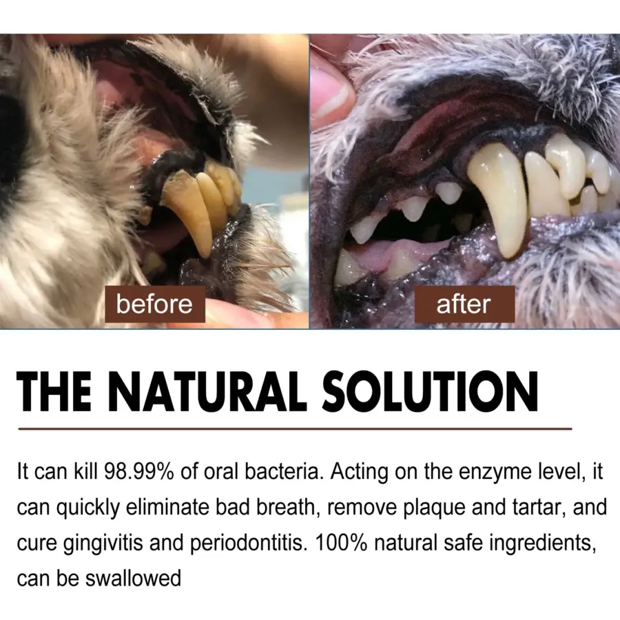 30ML Pet Teeth Cleaning Spray Dog Cat Tartar Cleaner Puppy Kitten Tooth Stain Remover Bad Breath Oral Cleaning - Image 4