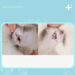 60ml Ear Cleaner Pet Ear Drops For Infections Control