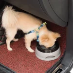 750ML Car Water Bowl Anti-Spill