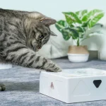 USB Charging Feather Cat Toy