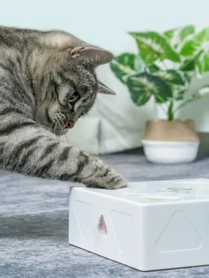 Cat-toy-with-Feather-Smart-Cat-Magic-Box-Usb-Charging-Cat-Electric-Toy-Smart-Start-and-1.webp