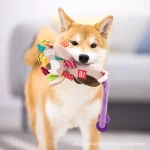 Dog Plush Tug Toy with Handle