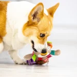 Dog Plush Tug Toy with Handle