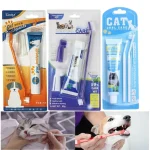 Dog Cat Toothbrush Toothpaste Kit
