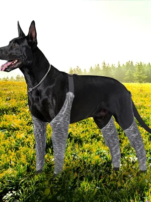 Dog Outdoor Boxer Shorts High Elasticity