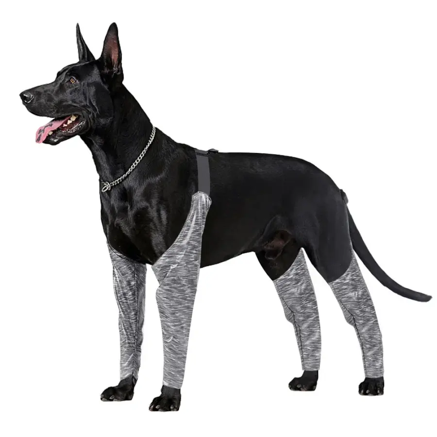 Dog Outdoor Boxer Shorts High Elasticity Adjustable Dog Four-legged Trousers Waterproof, Dirt-proof and Urine-proof Dog Clothes - Image 5