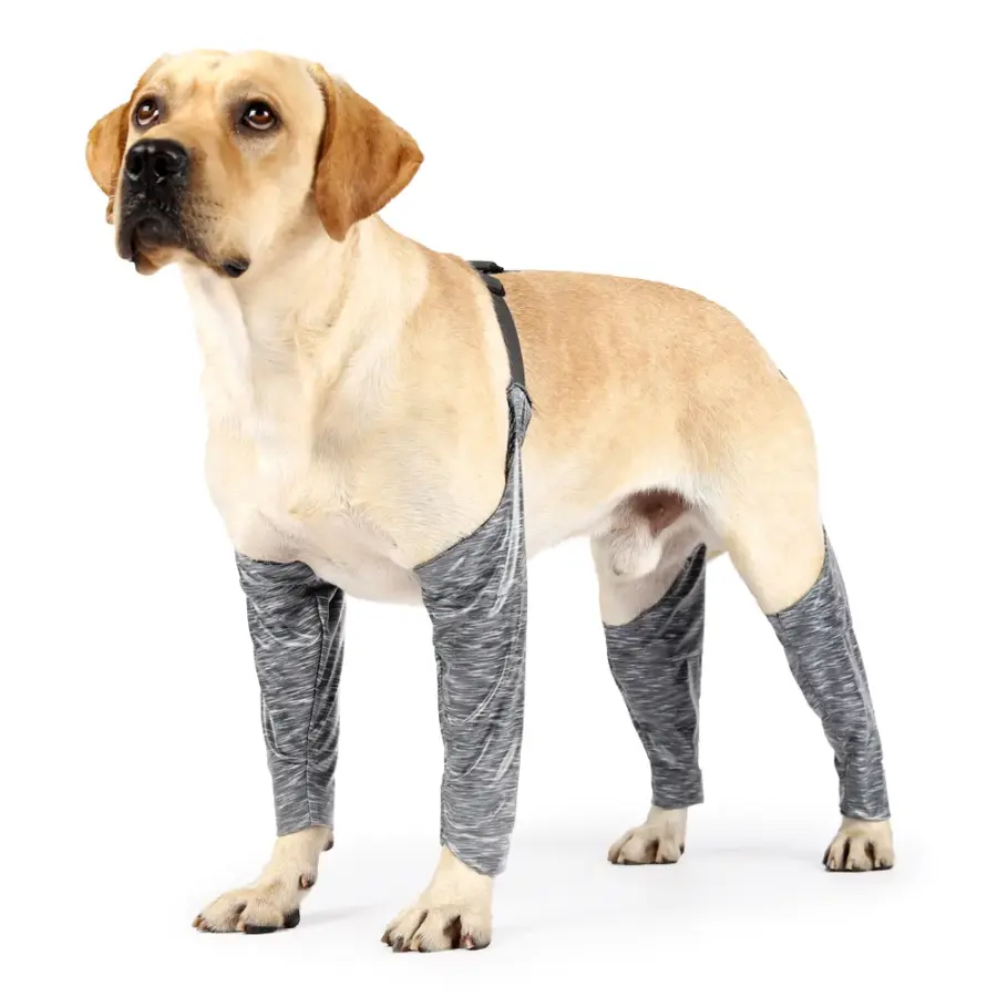 Dog Outdoor Boxer Shorts High Elasticity Adjustable Dog Four-legged Trousers Waterproof, Dirt-proof and Urine-proof Dog Clothes - Image 6