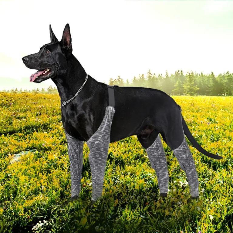 Dog Outdoor Boxer Shorts High Elasticity