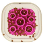 Dog Slow Feeder Bowl Prevent Obesity