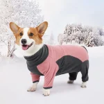 Dog Winter Clothes Polar fleece Cold-proof