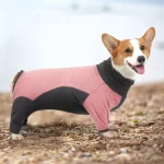 Dog Winter Clothes Polar fleece Cold-proof