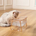 High-footed Tilt Dog Cat Food Bowl Double Bowl Transparent