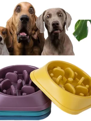 Dog Slow Feeder Bowl Prevent Obesity