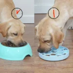 Dog Slow Feeder Silicone Suction Cup Honeycomb