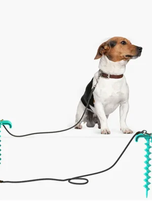 Pet-Dog-toys-Dog-balls-Leash-Set-Outdoor-Dog-Pile-Elastic-Rope-Ball-Combined-toy-Pet-1.webp