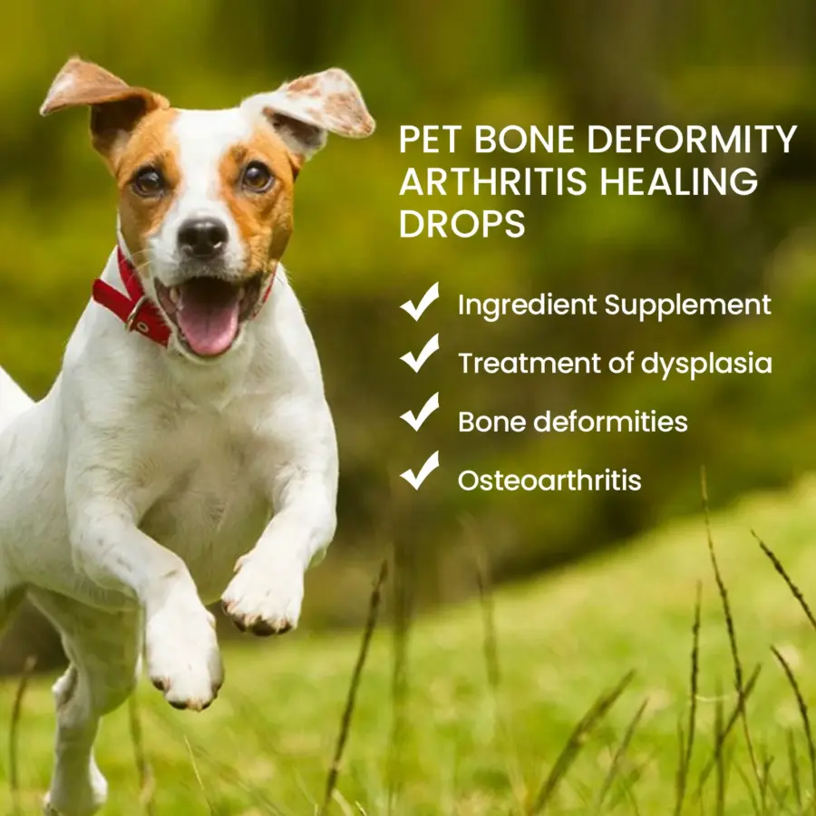 Pet Joint Repair Drops Dog Cat Bone Deformity ArthritisHealing Drops Puppy Kitten Body Joint Soreness Muscle Relief Care Agent - Image 2