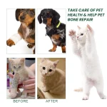 Joint Repair Drops Dog Cat Bone Deformity