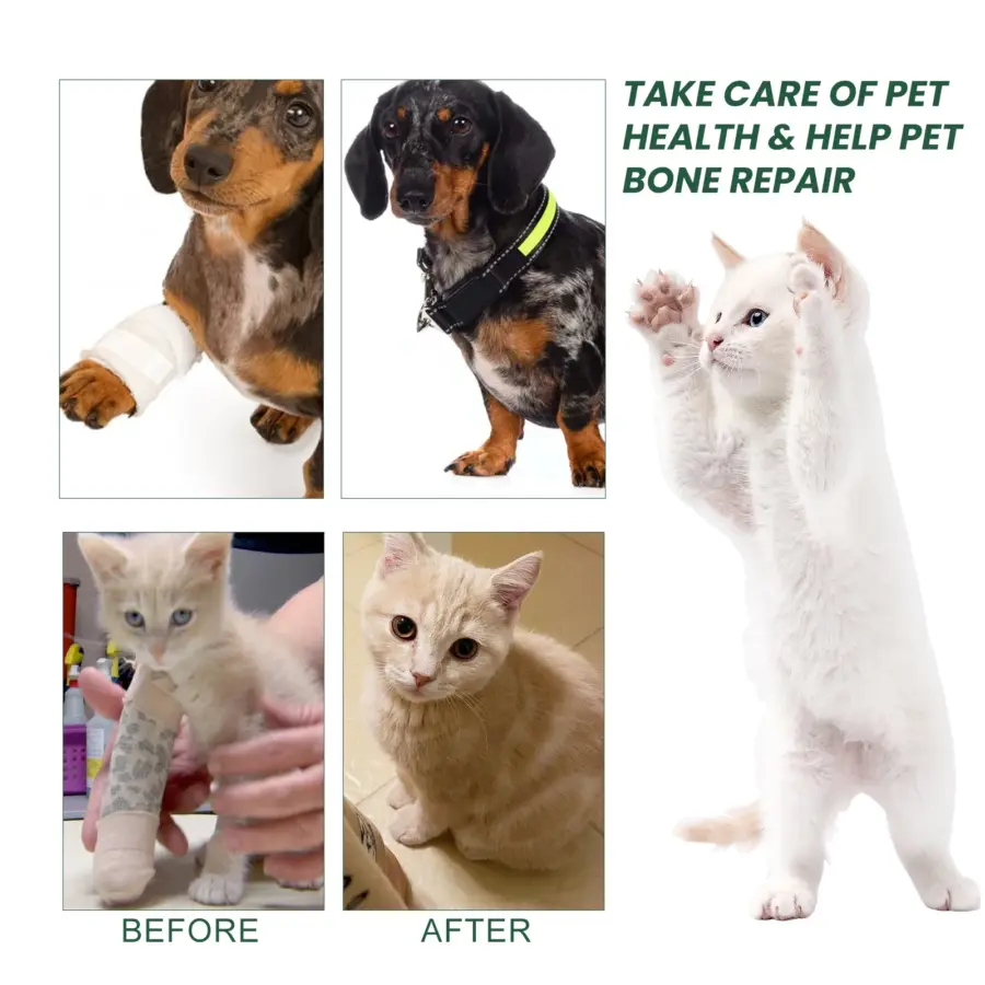 Pet Joint Repair Drops Dog Cat Bone Deformity ArthritisHealing Drops Puppy Kitten Body Joint Soreness Muscle Relief Care Agent - Image 3