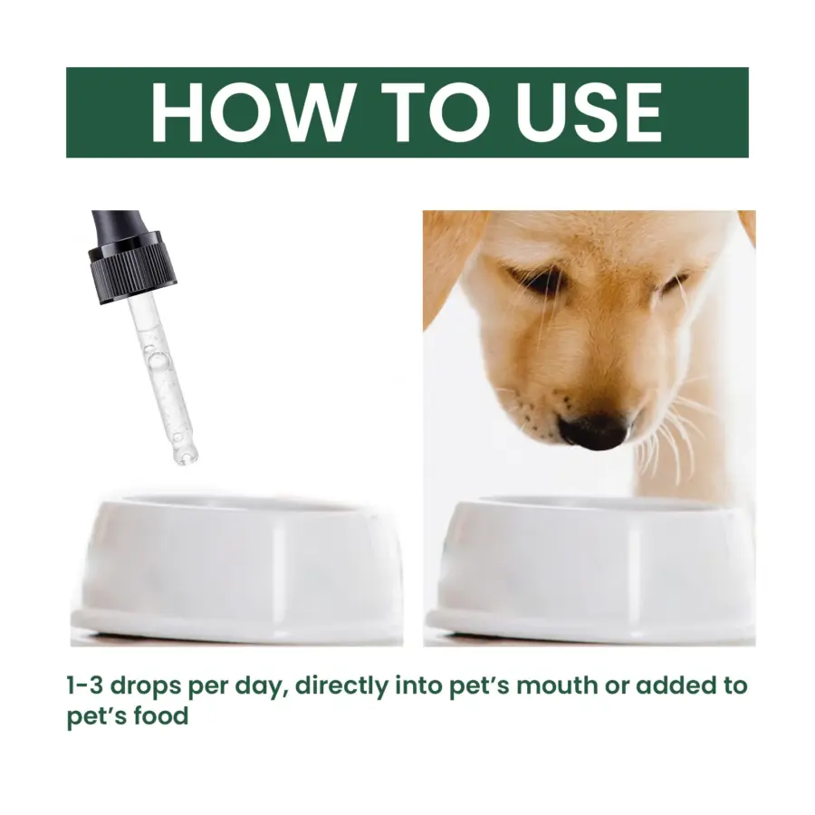 Pet Joint Repair Drops Dog Cat Bone Deformity ArthritisHealing Drops Puppy Kitten Body Joint Soreness Muscle Relief Care Agent - Image 5