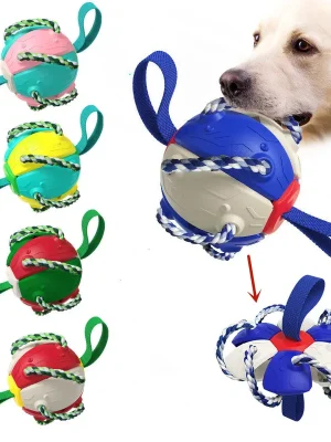 Multifunctional Dog Ball Toy