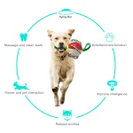 Multifunctional Dog Ball Toy