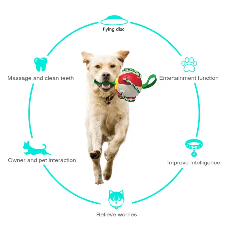 Multifunctional Dog Ball Toy