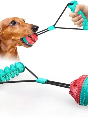 Dog Snack Ball Chew Toy