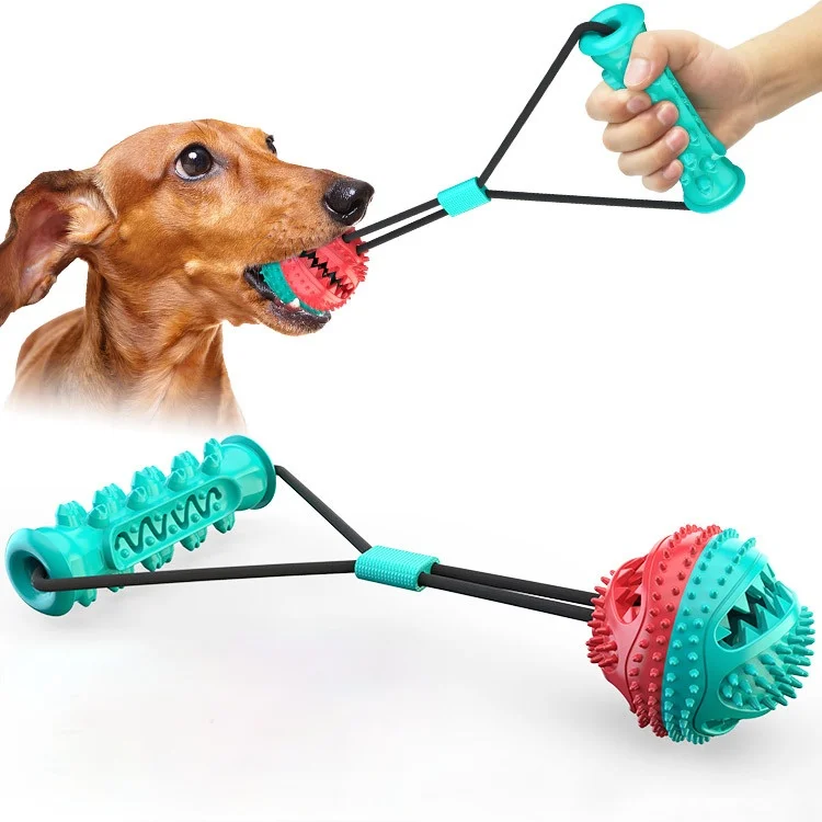 Dog Snack Ball Chew Toy
