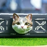 Cute Little Flower Cat Head Fridge Magnet