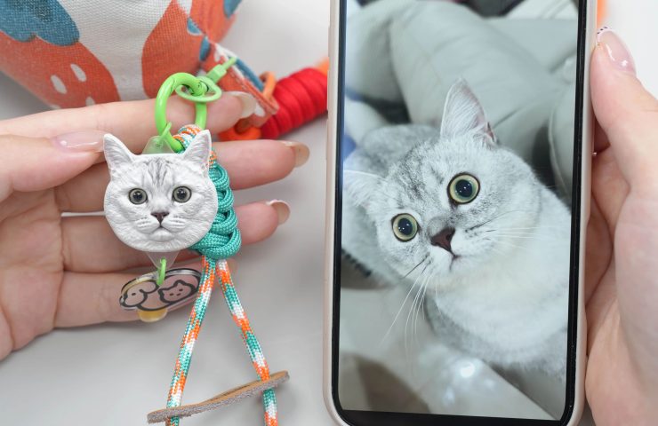Custom Pet Accessories