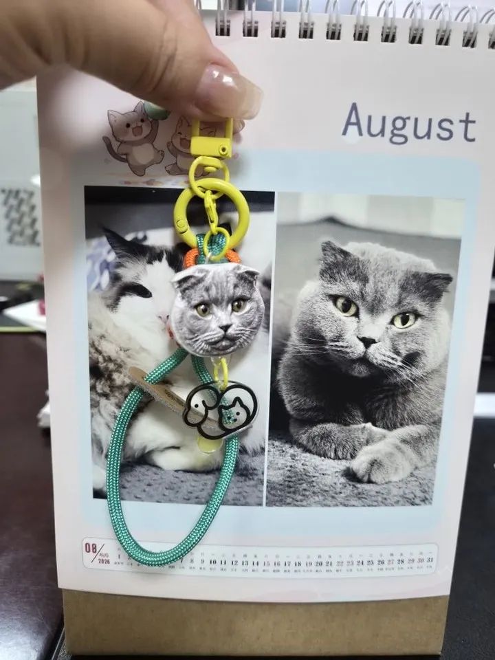 August Days with My Boy