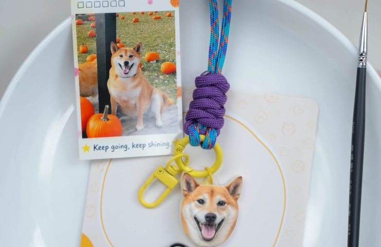 Mochi the Shiba Inu